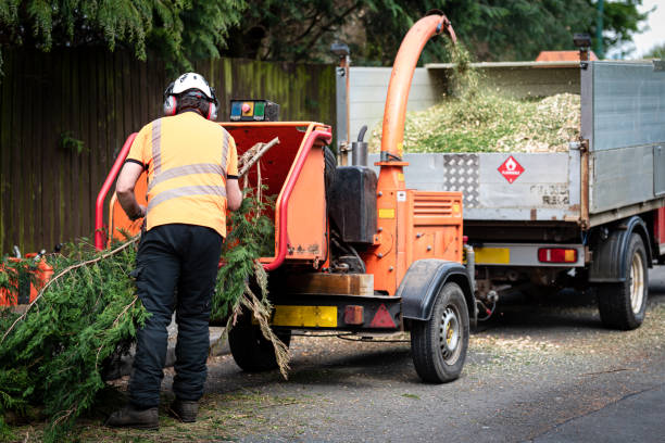 How Our Tree Care Process Works  in  Pierceton, IN